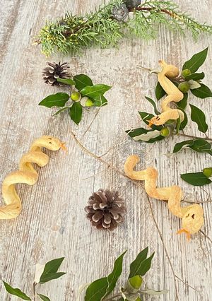 Une photo de Serpent feuilleté