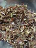 Sambal kecicang/kecombrang versi gk pedas