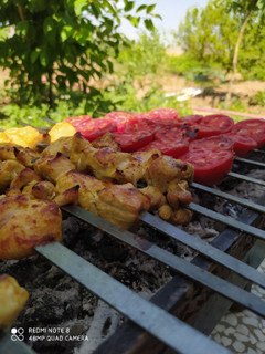 عکسی از دستور جوجه کباب به روش آقا مجید