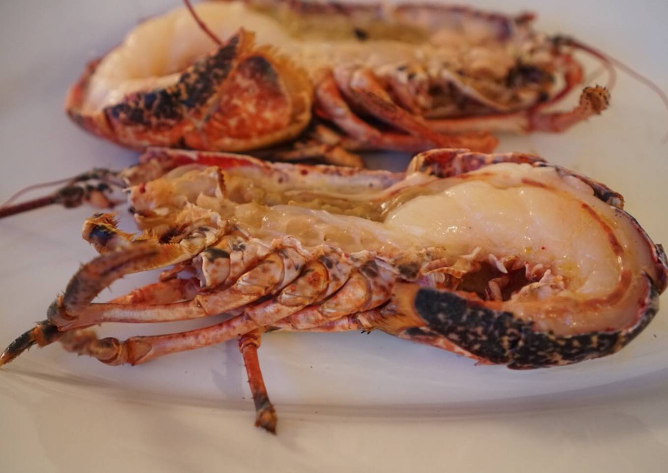🦞 Lobster, grilled