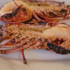 A picture of 🦞 Lobster, grilled.