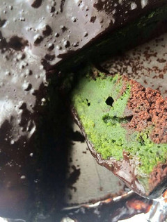 Foto resep Choco Green Tea Moist Cake