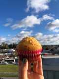 Madeleines