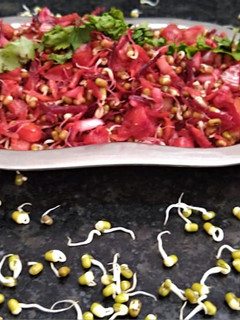 સ્પ્રાઉટ સલાડ (ફણગાવેલા મગ નું સલાડ) (Sprout Salad Recipe In Gujarati) રેસીપી મુખ્ય ફોટો