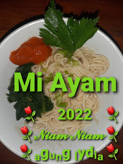Foto resep 37. Mi Ayam