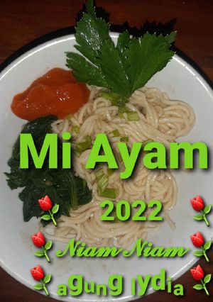 Foto resep 37. Mi Ayam