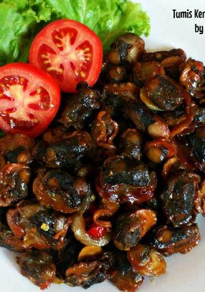 Foto resep Tumis Kerang Saus Tiram Pedas