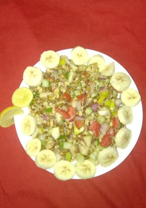 A picture of Sprouts chat.