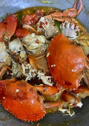 Foto resep Kepiting Saus Padang