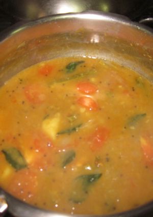 A picture of Sambar.