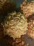 Bola rambut telur sosis