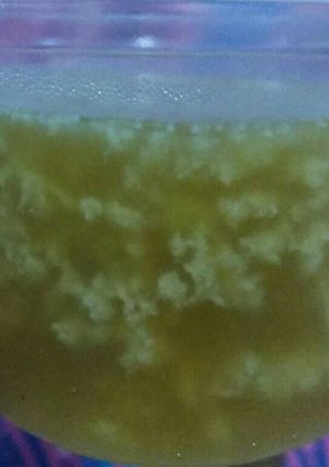 Foto resep Puding Karang santan gula merah