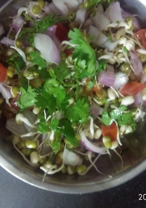 A picture of Green sprouts.