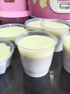 Foto resep Puding Susu Anggur dgn Vla Instan