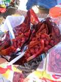 Dorilokos