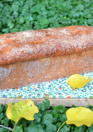 Una foto de Pan azucarado de avena y naranja🤓