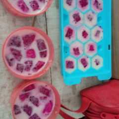 Foto resep Puding susu buah naga