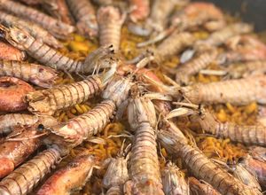 Una foto de Fideuá de gambas, galeras y sepia🦐🥂🍽
