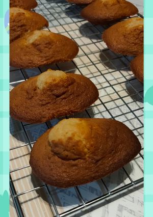 Une photo de Madeleines de saint Yrieix