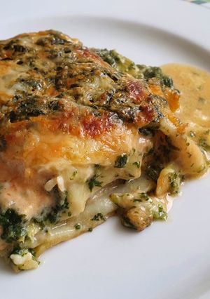 Lachs-Spinat-Lasagne Rezepthauptbild
