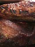 California Farm Oven Broiled Beef Brisket