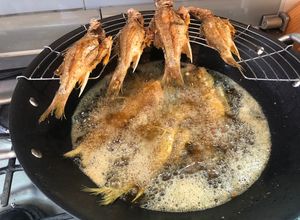Una foto de Pescados constantin al disco al estilo Sonorense