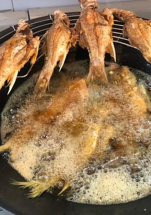 Una foto de Pescados constantin al disco al estilo Sonorense