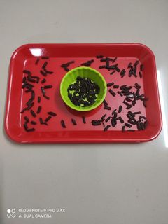 ચોકલેટ વર્મીસેલી (Chocolate Vermicelli Recipe In Gujarati) રેસીપી મુખ્ય ફોટો