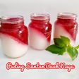 Puding Santan Buah Naga