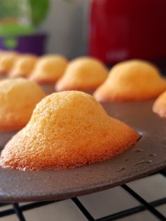 Une photo de Madeleines vanille