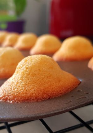 Une photo de Madeleines vanille