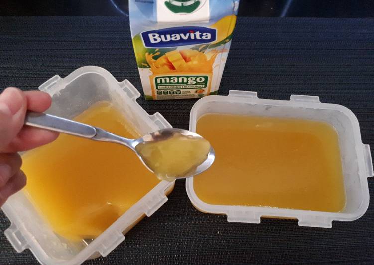 Fresh Silky Pudding Mangga