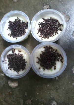 Foto resep Puding nasi