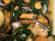 A picture of moringa spinach
