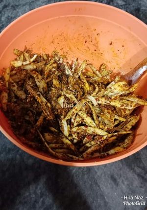 A picture of Koocha Achar (Aam ka Achar).