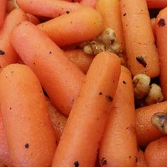 A picture of Honey Carrots w/ Toasted Walnuts.