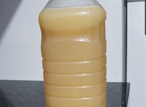 Foto de Chá-suco de maçã, limão e gengibre