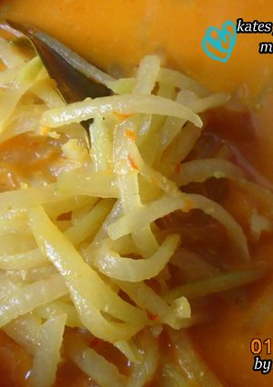 Foto resep Kates / pepaya muda masak santan