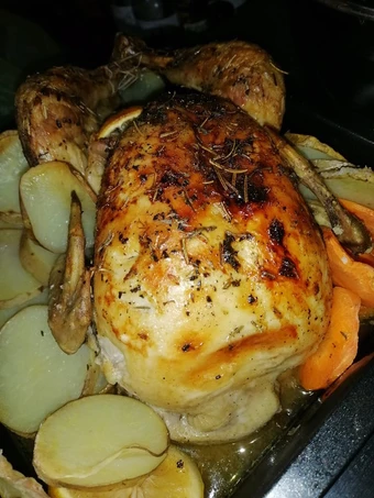 Easy Way Make Recipe Roasted Chicken in Oregano and Lemon and Other Spices that is  Makes Drooling, Perfect}