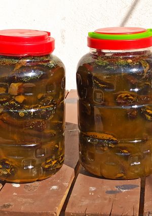 عکسی از دستور ترشی بادمجان شکم پر