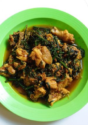 Foto resep Tumis Pakis Ayam Kunyit
