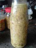 Ajicero Criollo