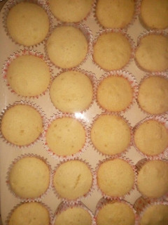 A picture of Pluffy and spongy cupcakes.