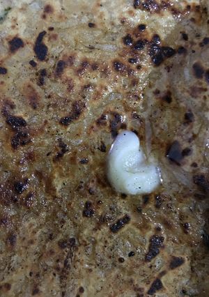 A picture of Muli ka paratha.