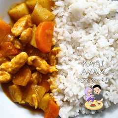 A picture of KARI Ayam (Chicken Curry).
