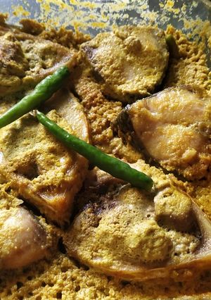 A picture of Ilish Bhapa in Microwave oven (Hilsa in mustard paste).