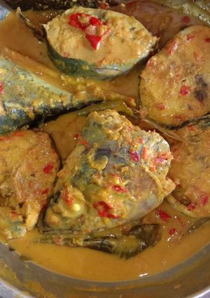 Foto resep Tongkol bumbu padang