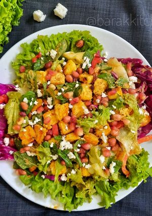 A picture of Paneer Salad with Peanut & Cumin.