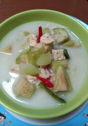 Foto resep Sayur Lodeh
