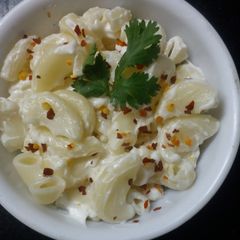 A picture of White sauce Macaroni Pasta.